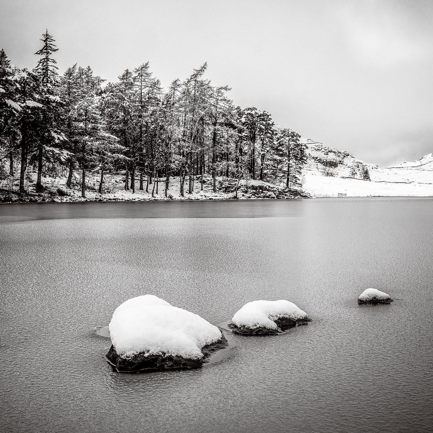 CAPTURING WINTER