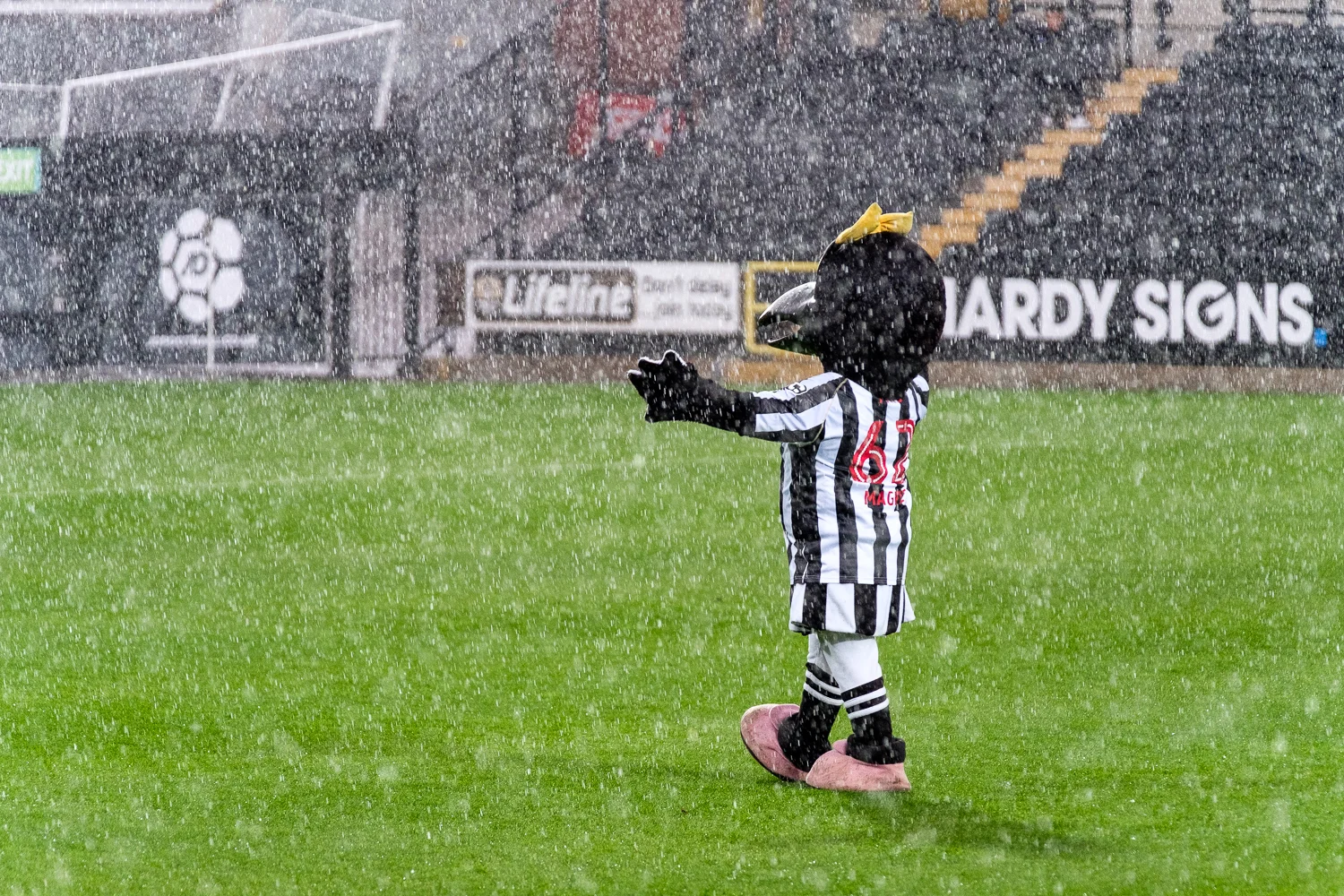 20161001_ncfc_0076.jpg