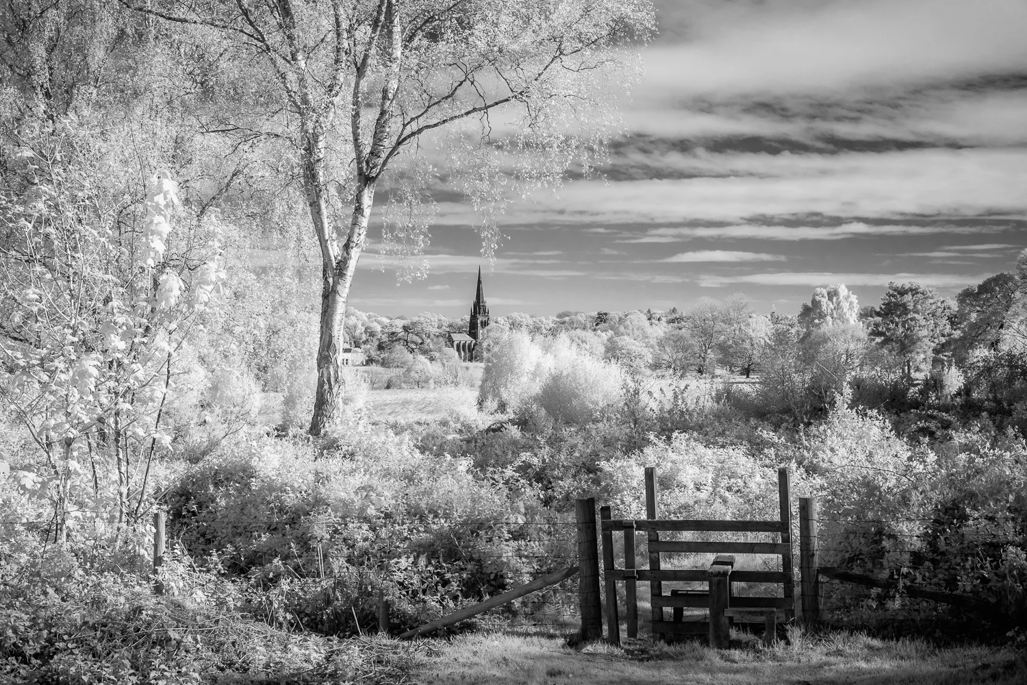 20170425_clumber_IR-90.jpg