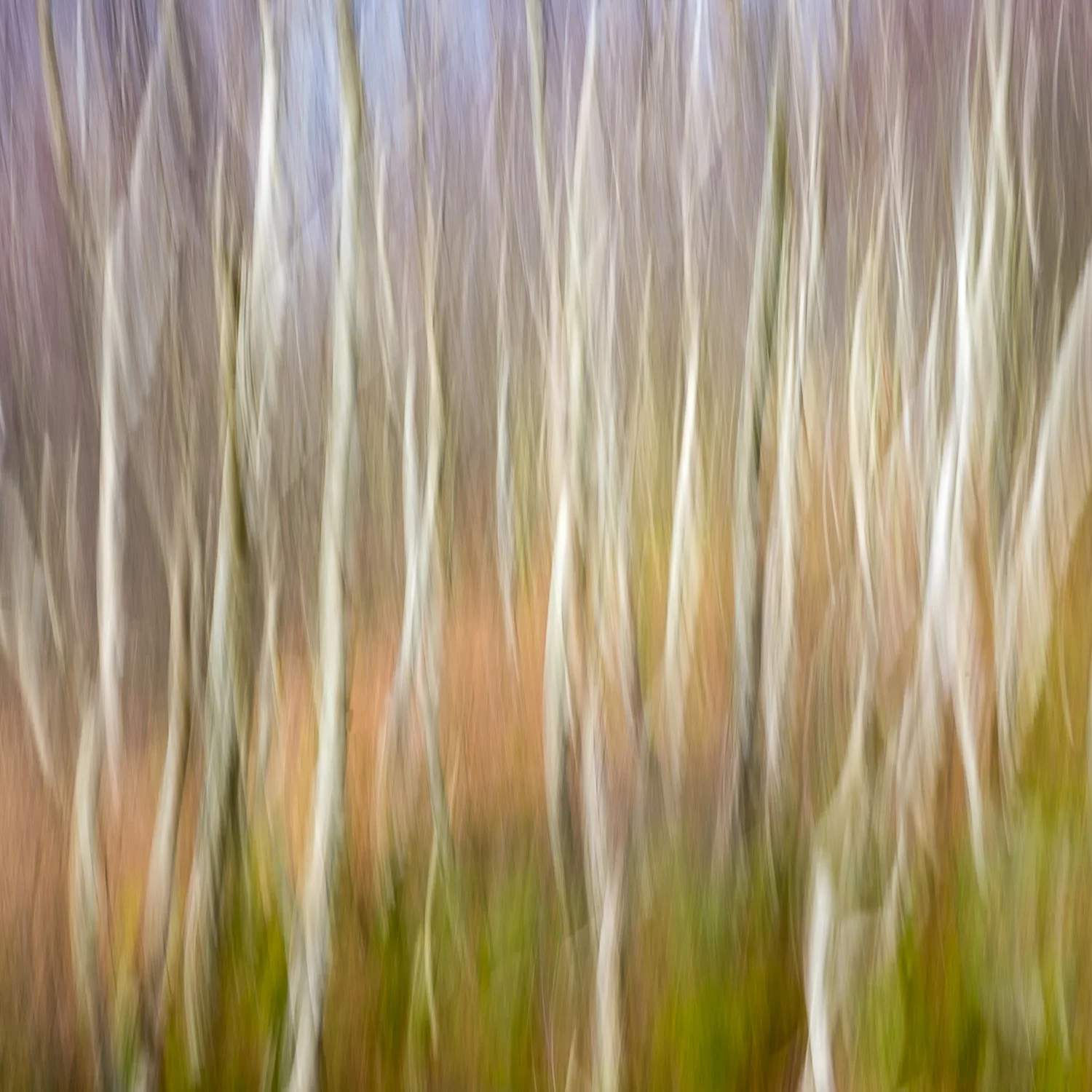 20180223_derbys-197-Edit.jpg