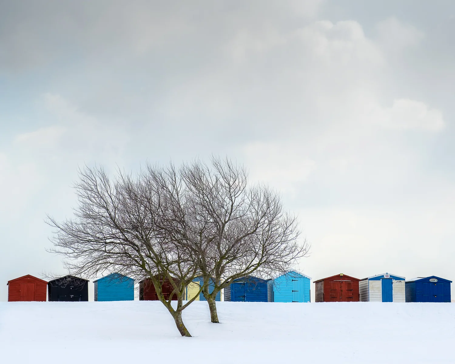 20180226_suffolk-679-Edit.jpg