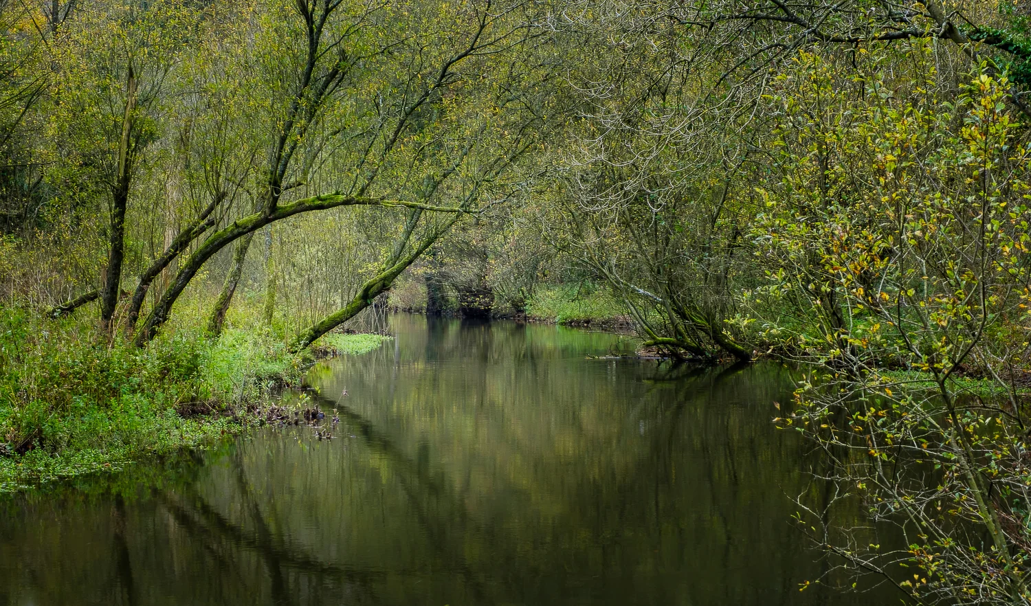 20171025_derbys-811-Edit.jpg