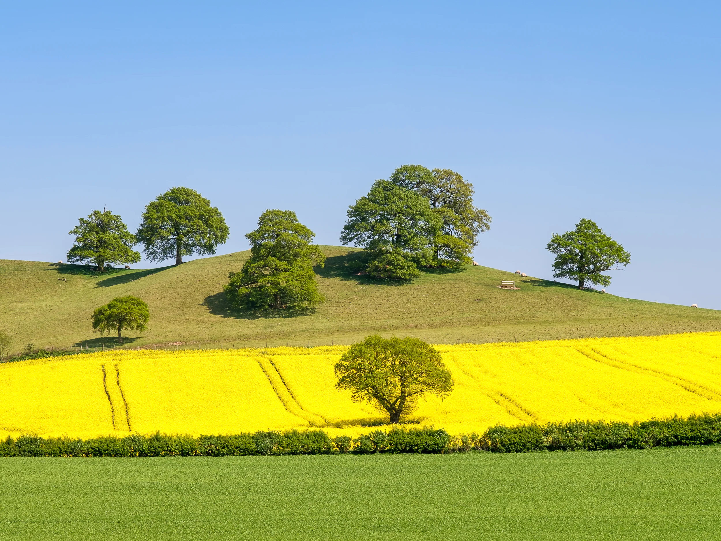 20180507_notts-68-Edit.jpg