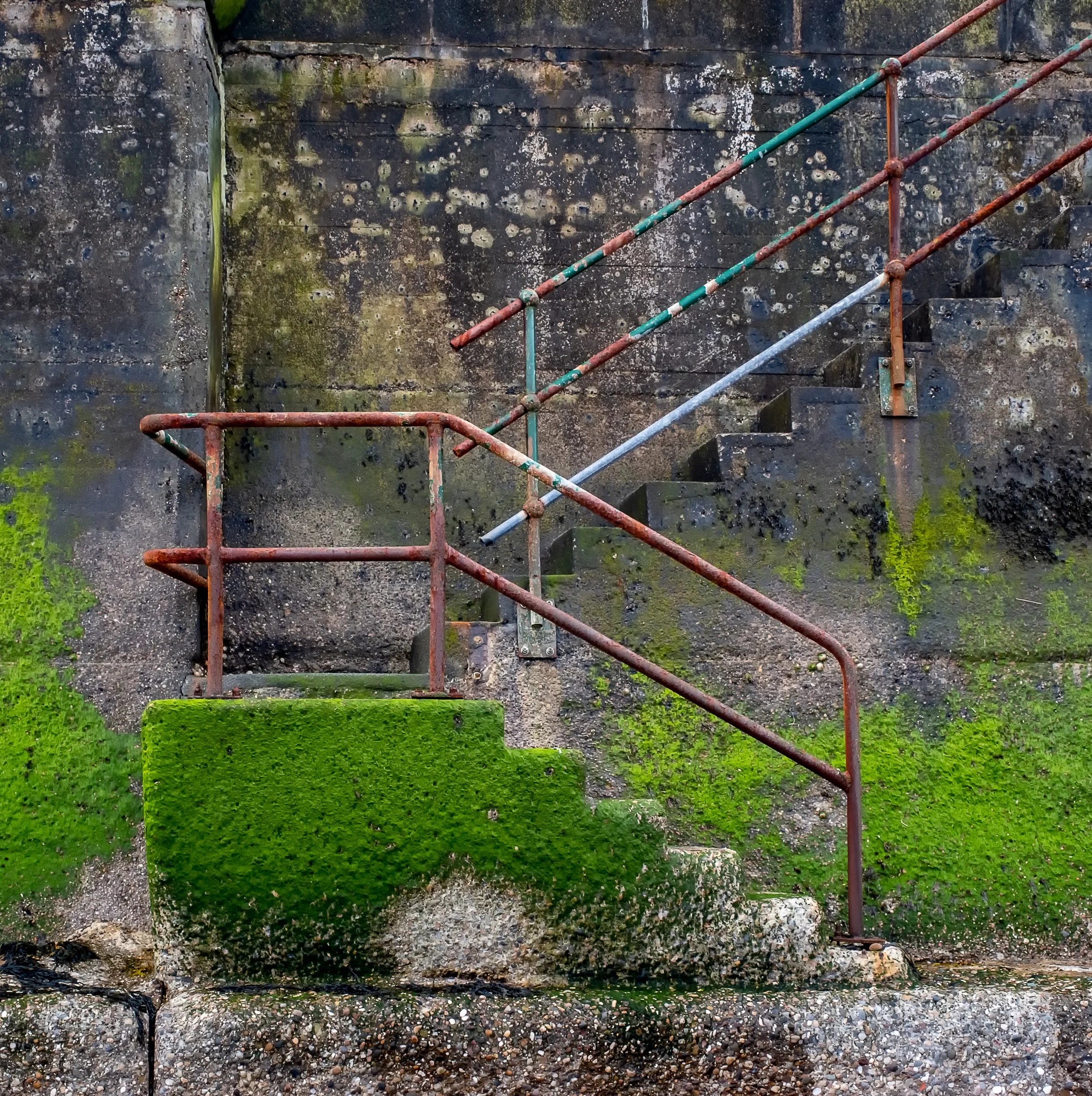 20180613_yorks-6-Edit.jpg