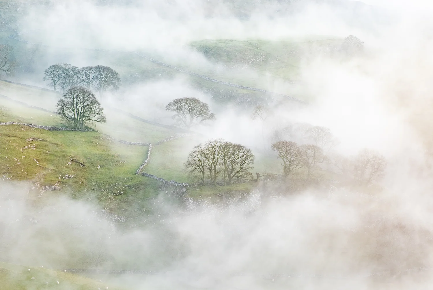 20190214_chrome-16-Edit.jpg