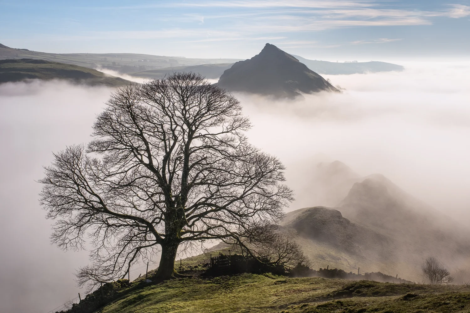 20190214_chrome-252-Edit-Edit.jpg