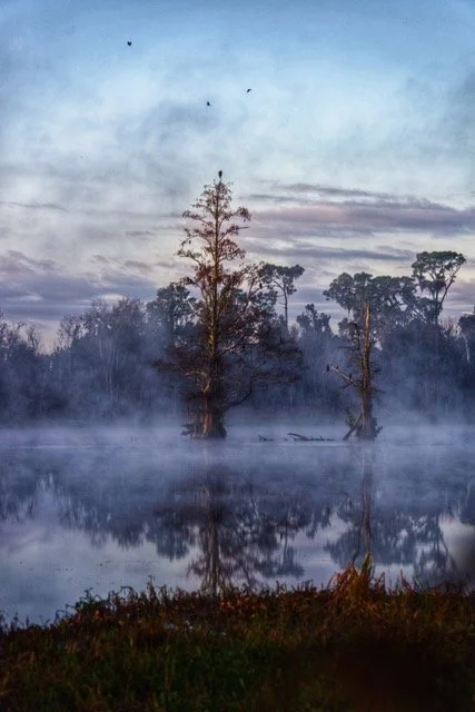 #24 - Glen Allen, "Smokey Morning"