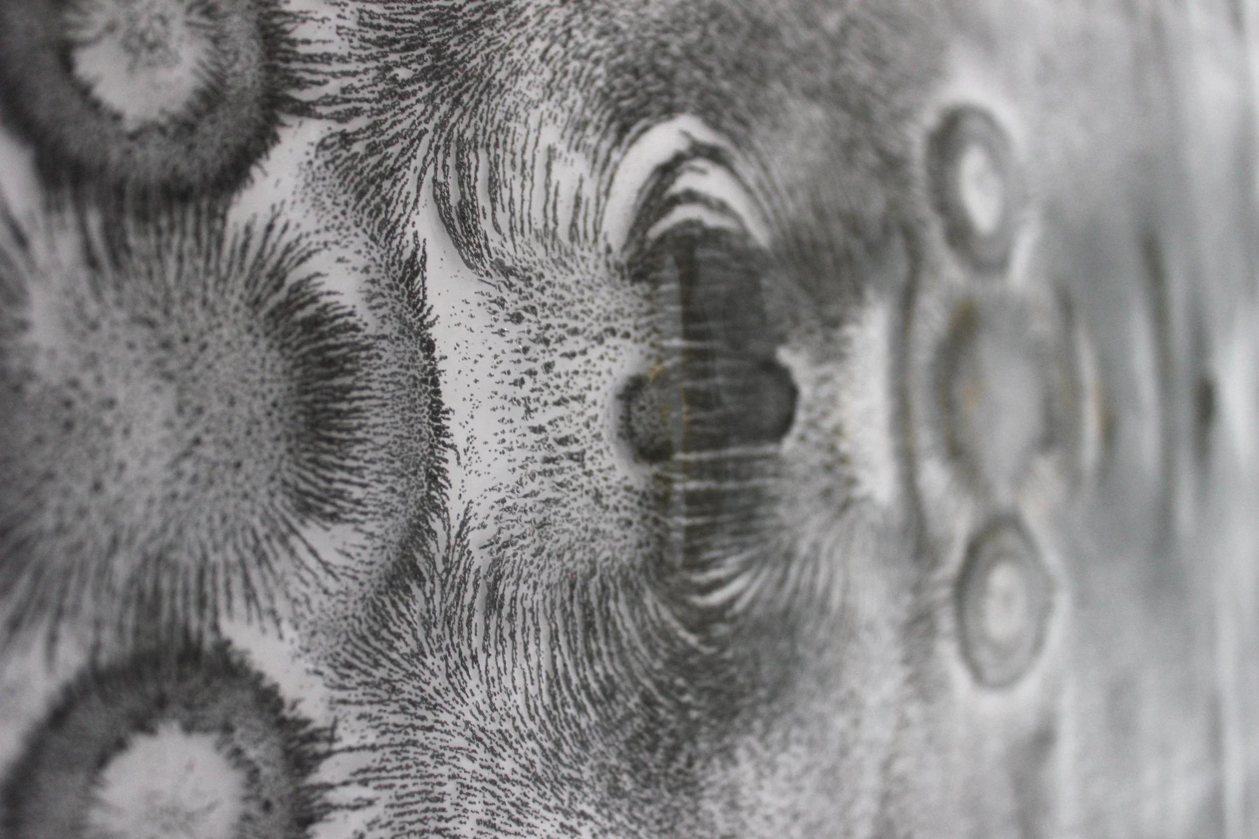 Iron Filings and Silicone