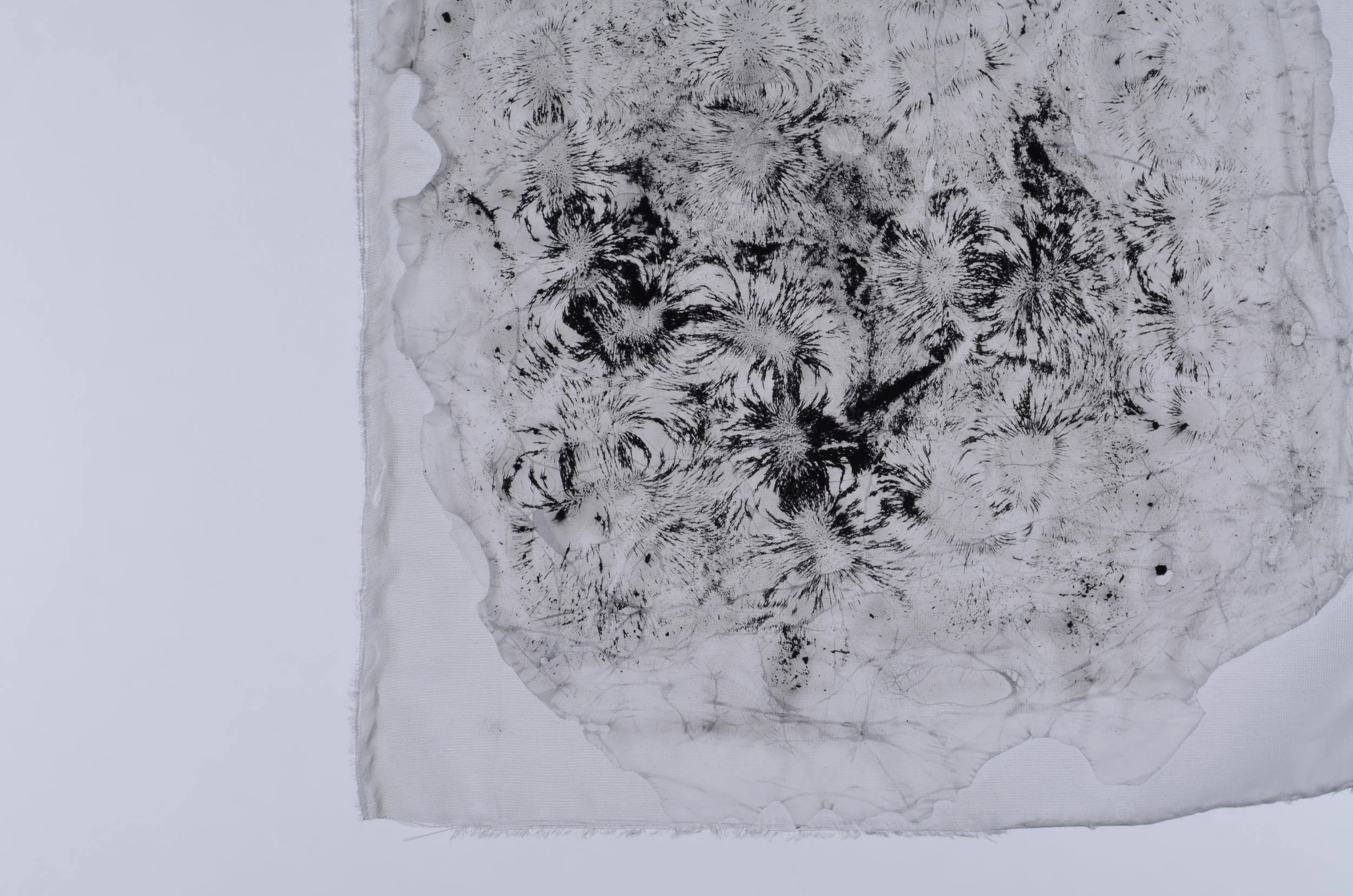 Iron Filings, Silk and Adhesive