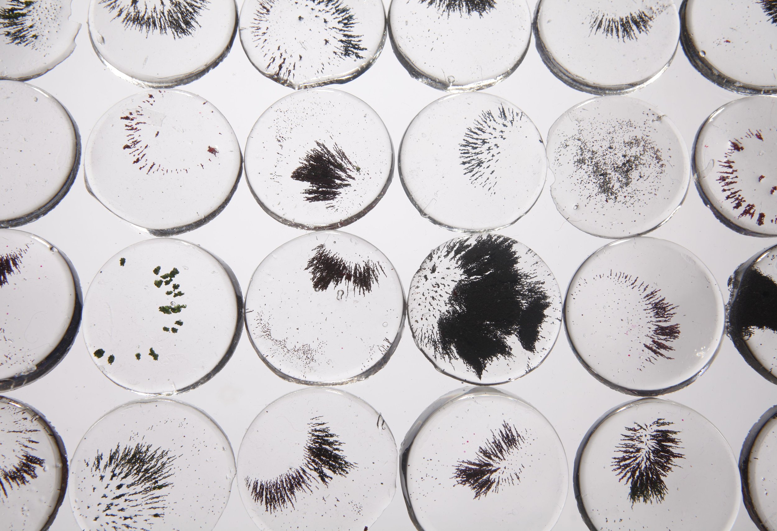 Iron Filings and Clear Resin