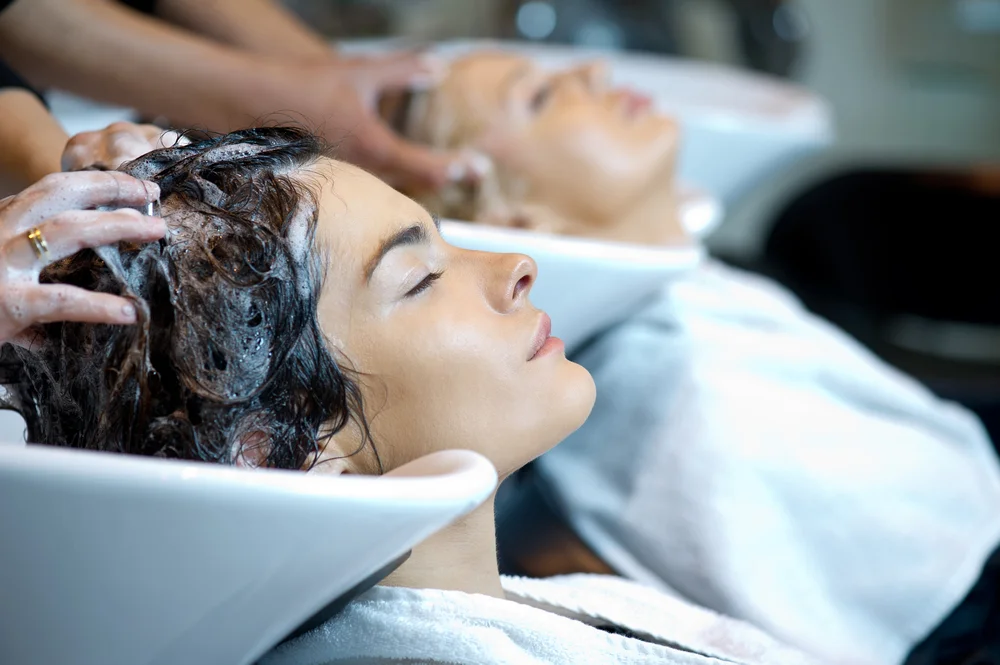 The Eco Salon