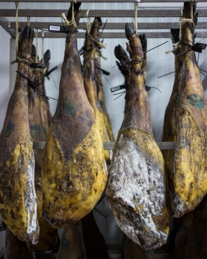 Jamon, rear leg of the pig, cures in the cellar at Eiriz for up to 48 months depending on weight