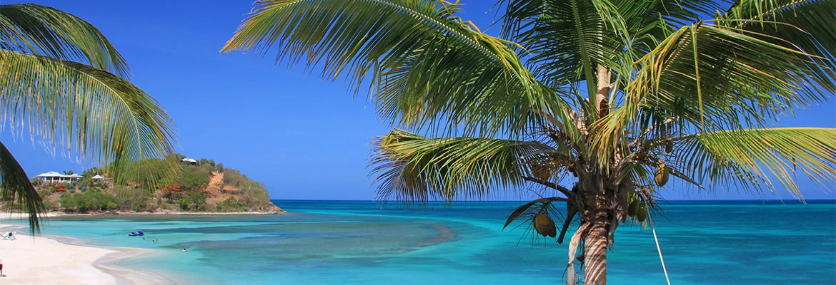 Antigua citizenship lio global