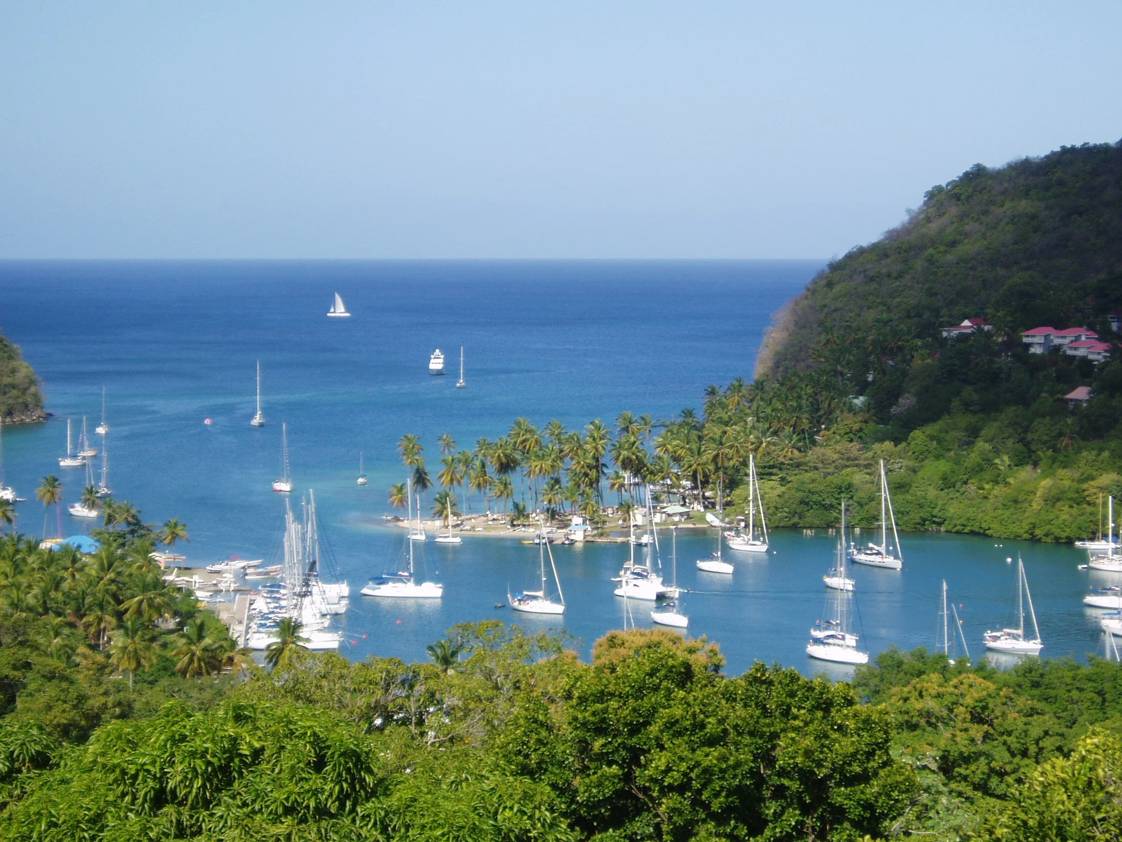 St Lucia Citizenship LIO Global (1).jpg