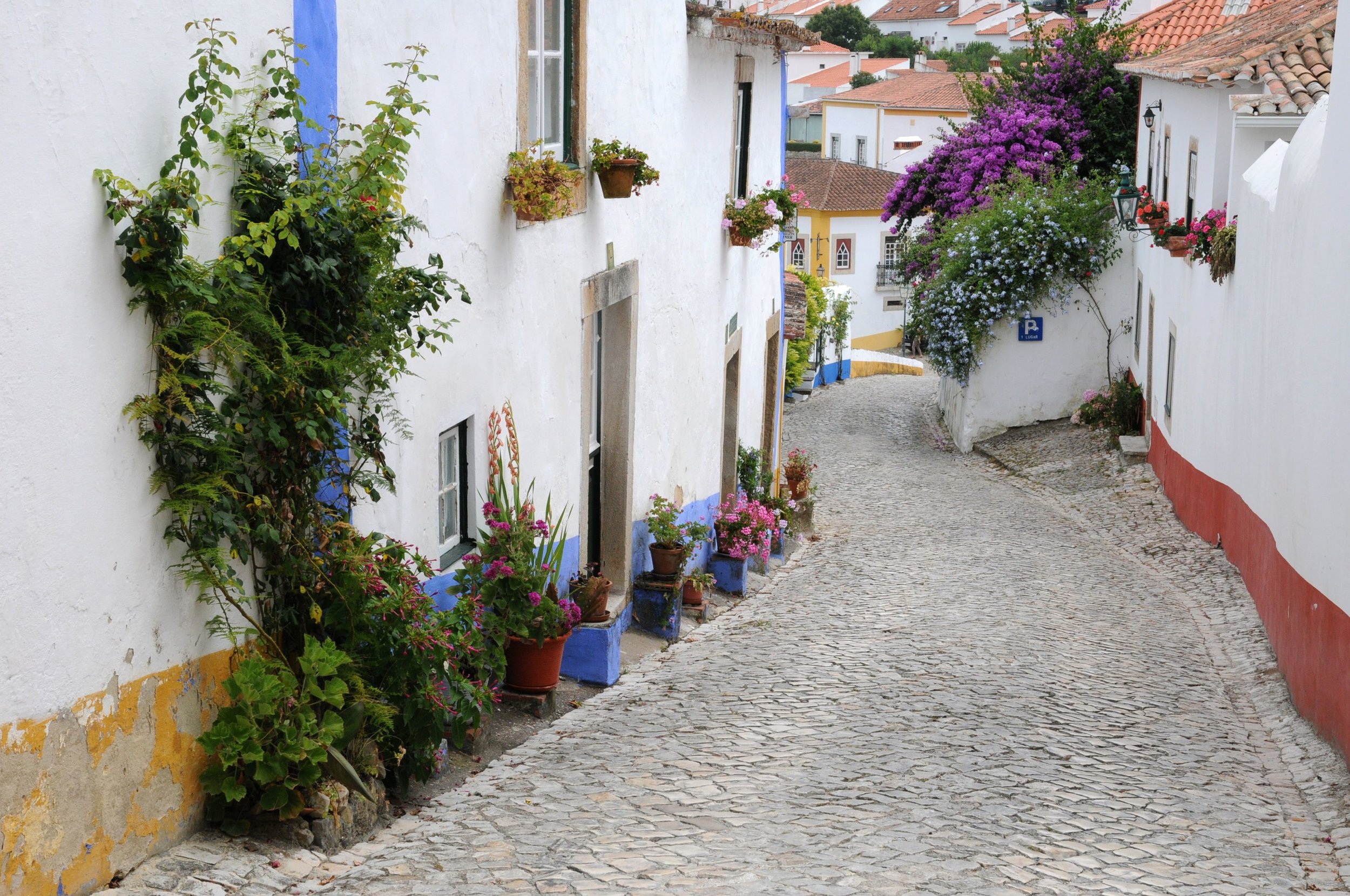 Portugal golden visa program .jpg