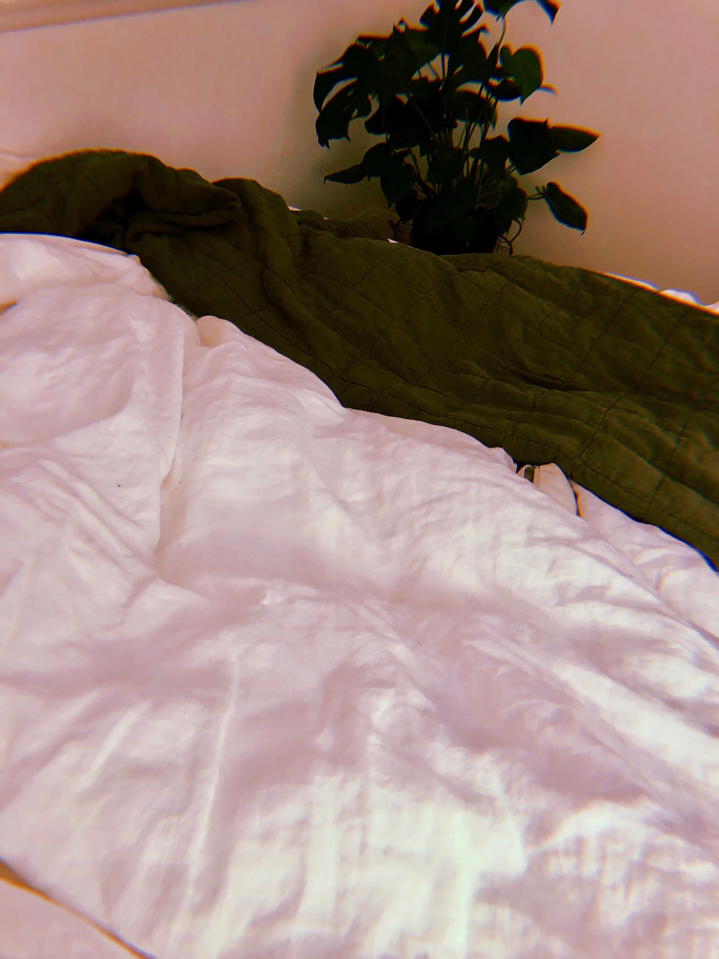 FullSizeRender-1.jpeg