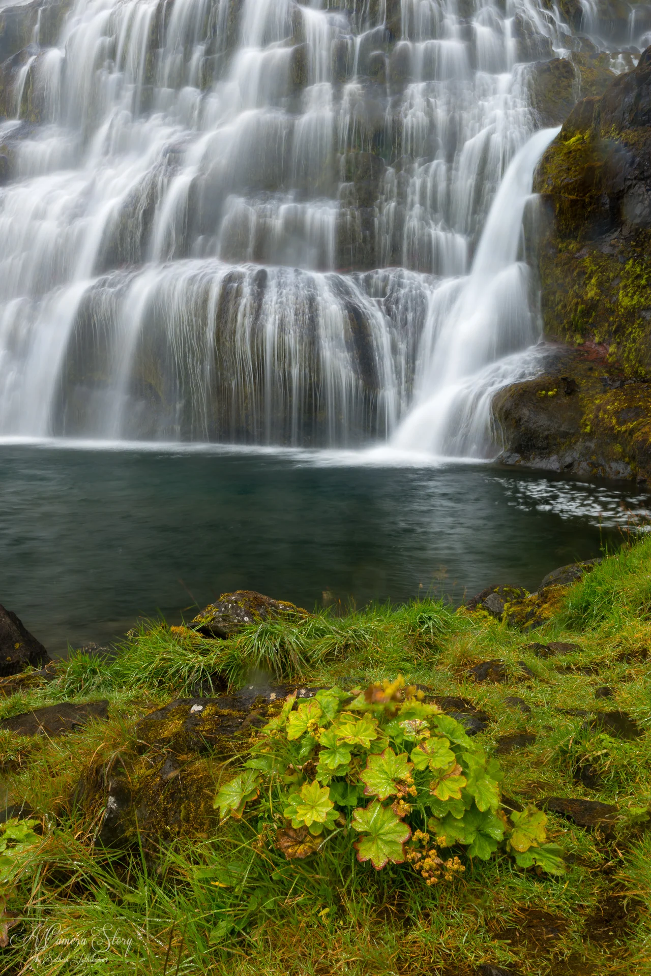 Iceland-10.jpg