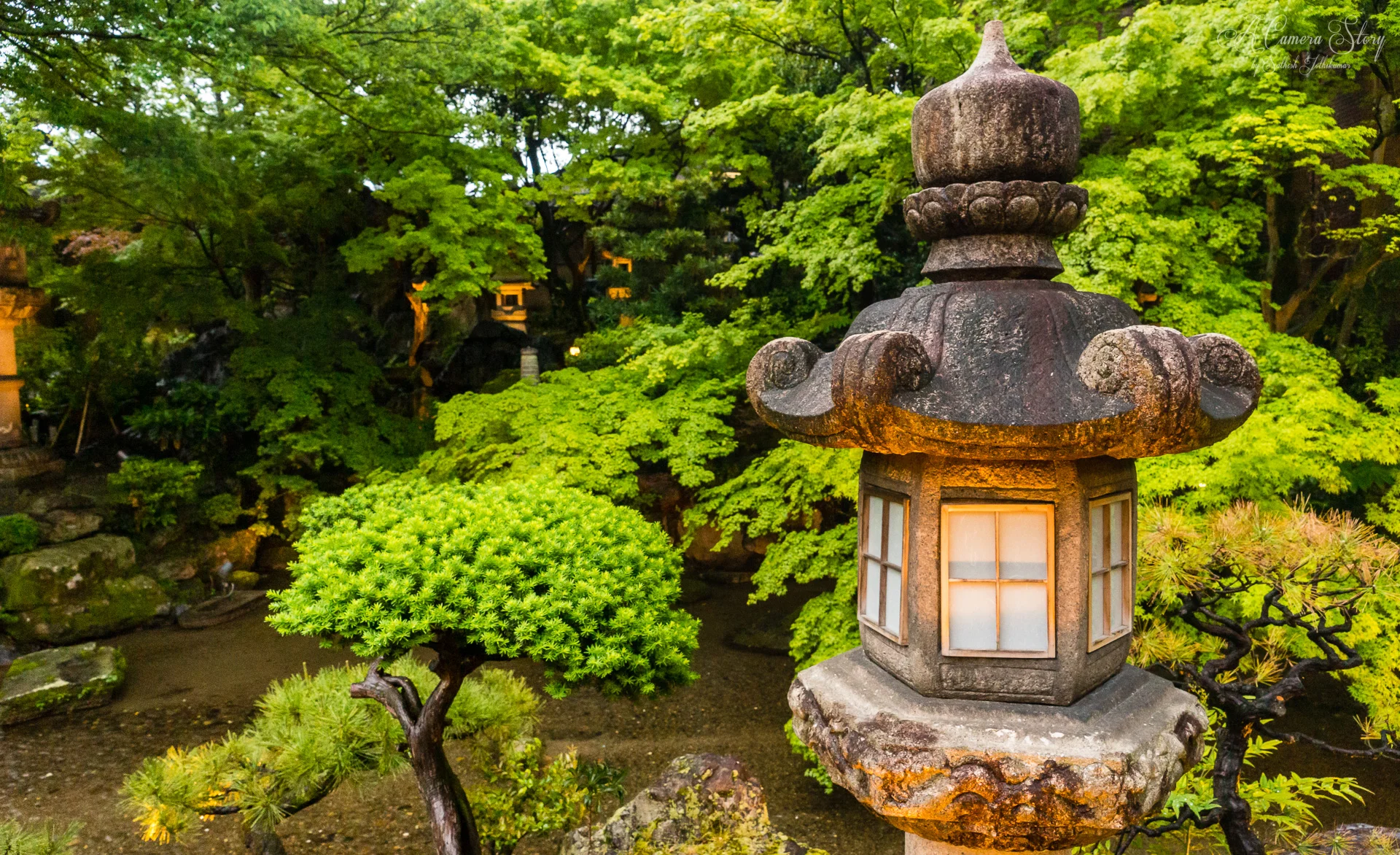 Japan-8.jpg