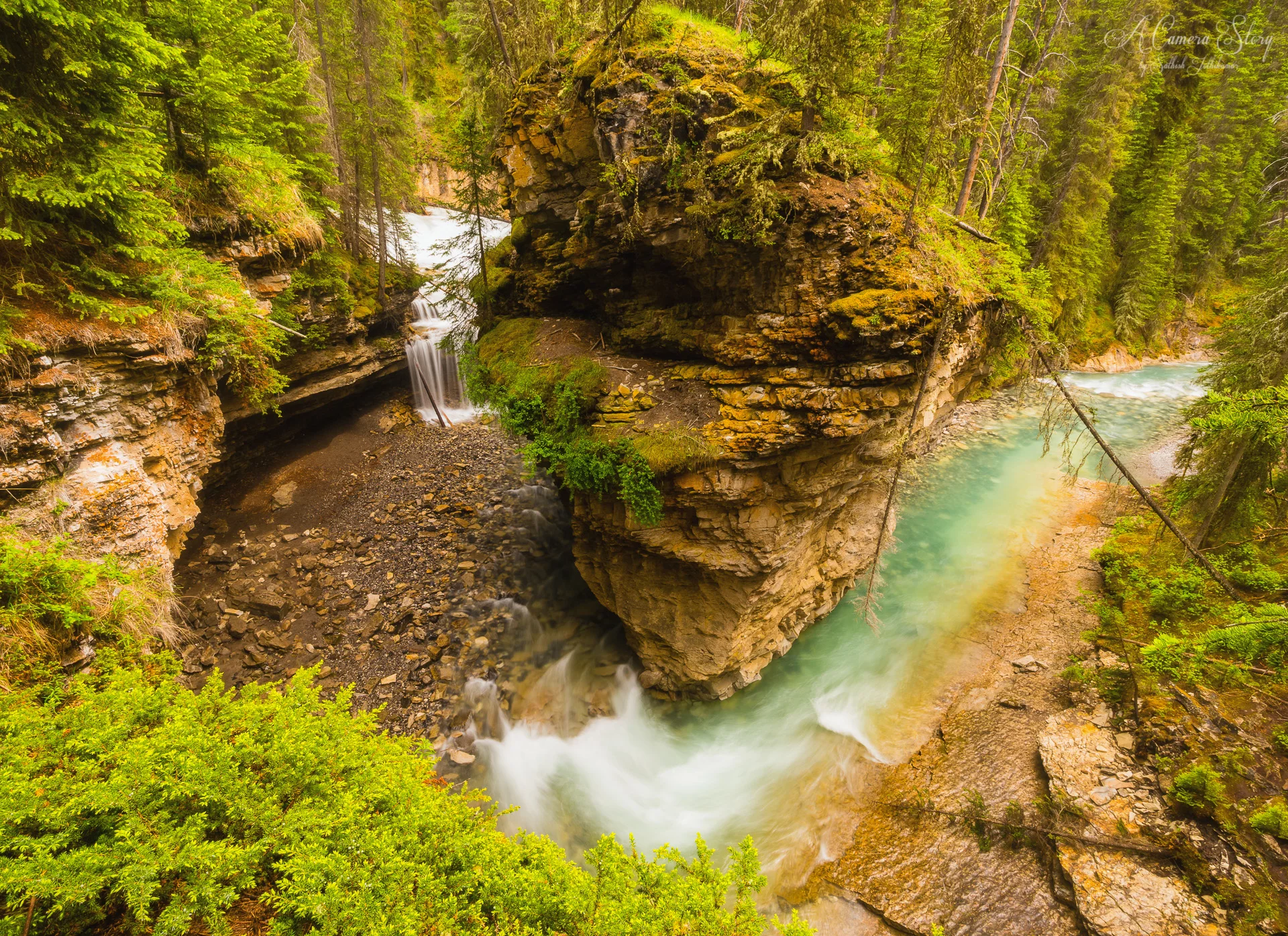 Canadian_Rockies-1.jpg