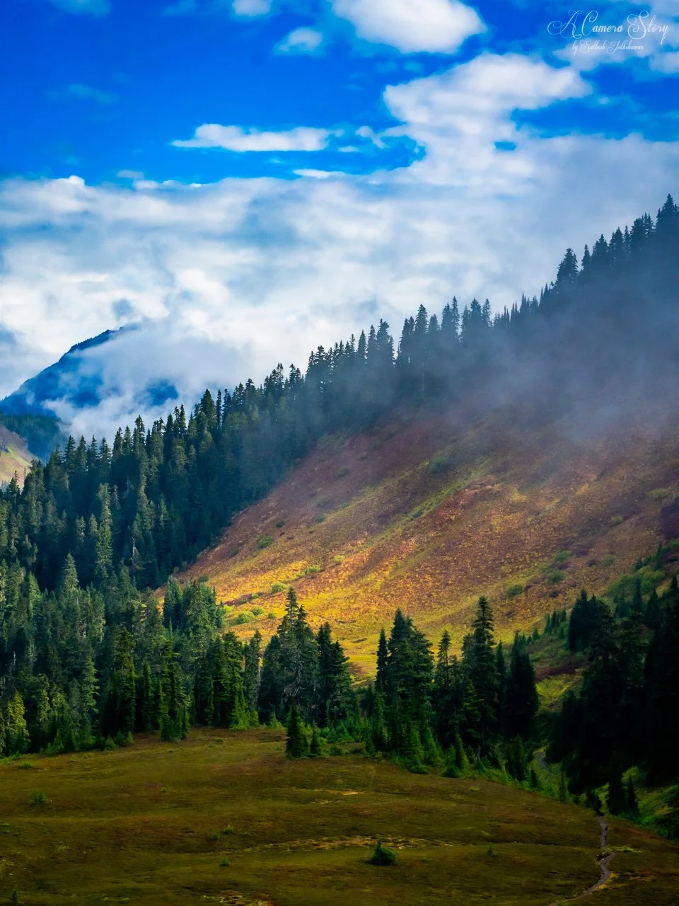 Fall in the High Divide-2.jpg