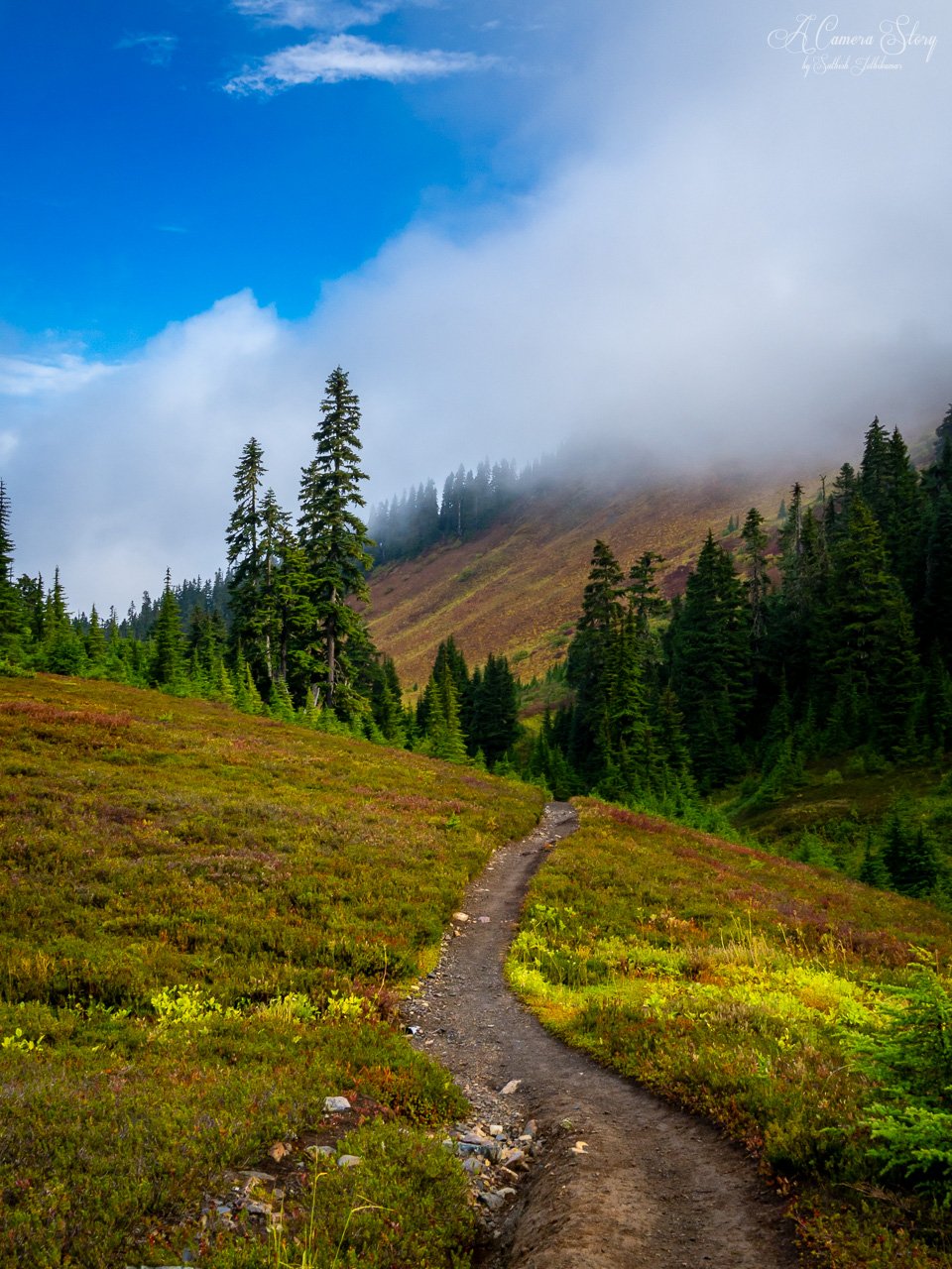 Fall in the High Divide-1.jpg