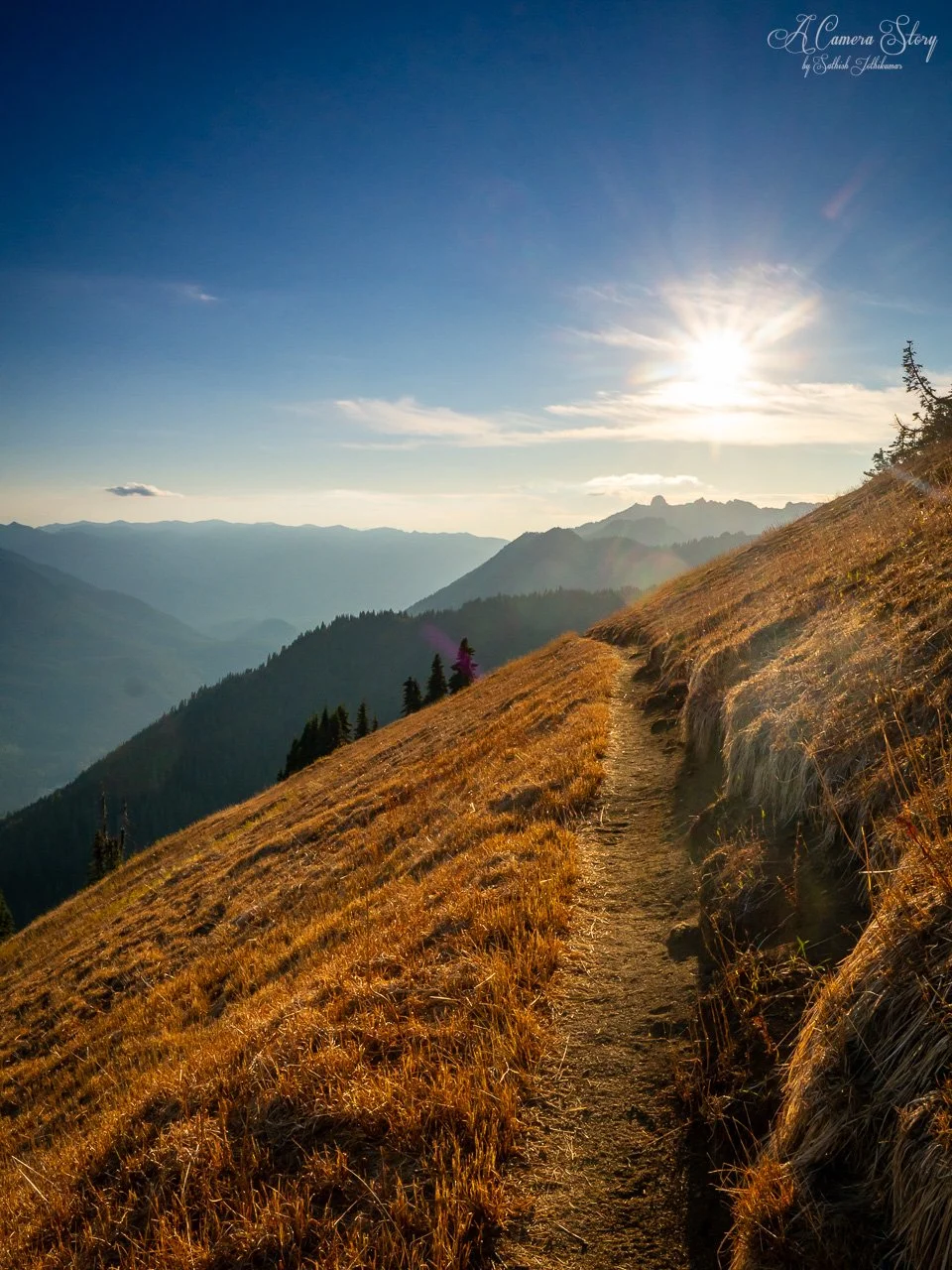 Fall in the High Divide-3.jpg