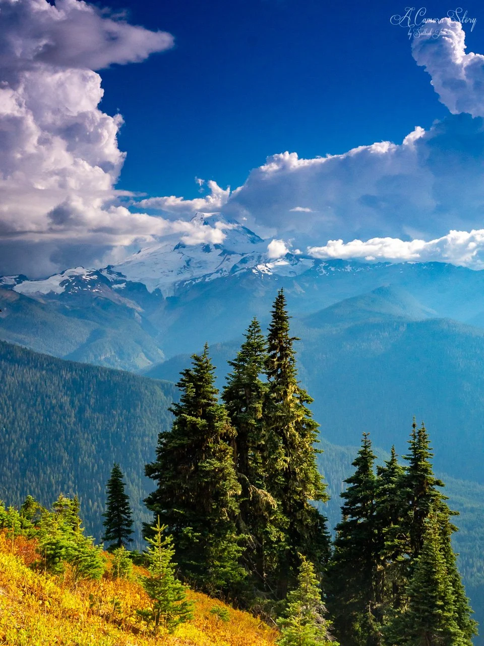 Fall in the High Divide-4.jpg