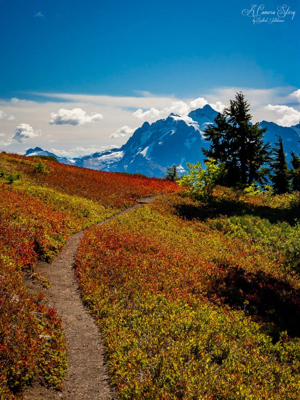 Fall in the High Divide-5.jpg