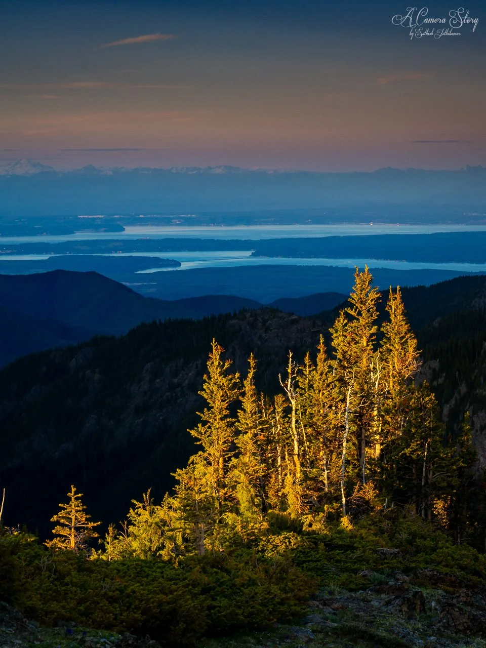 Glimpses of summer-3.jpg