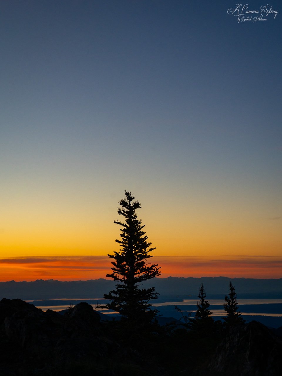 Glimpses of summer-5.jpg