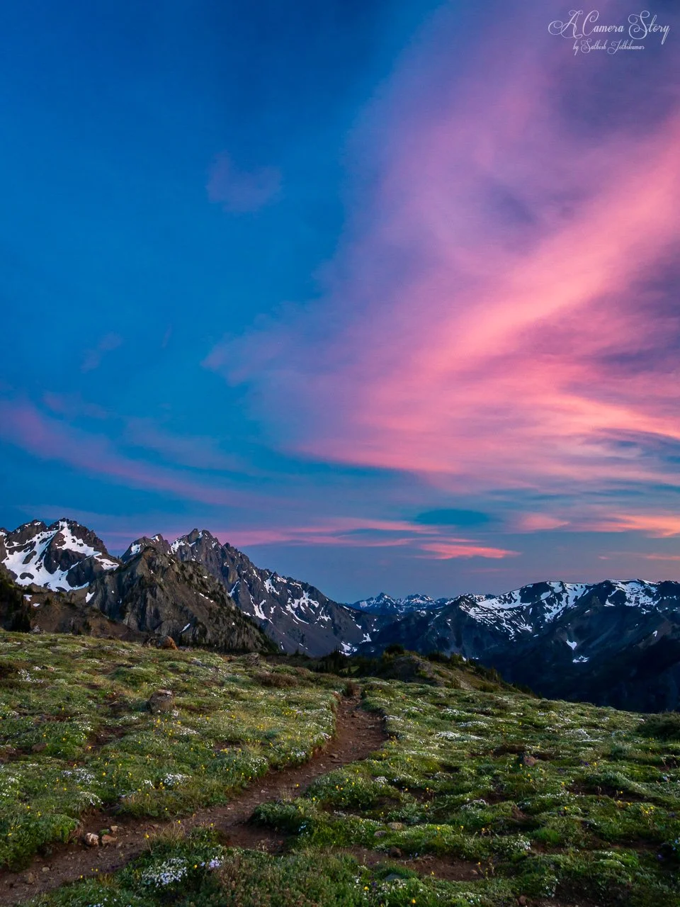 Glimpses of summer-1.jpg
