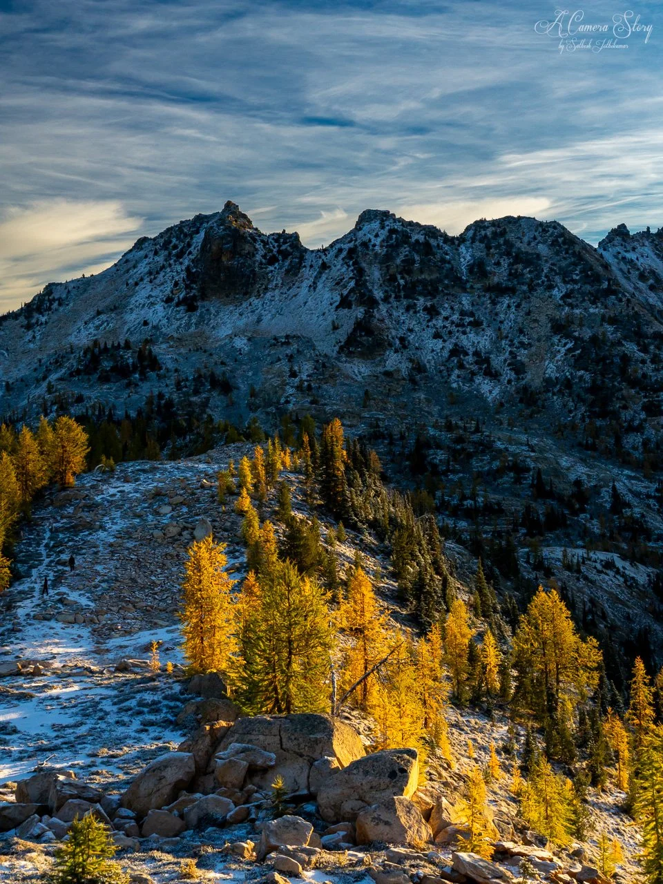 From Fall to Winter-4.jpg