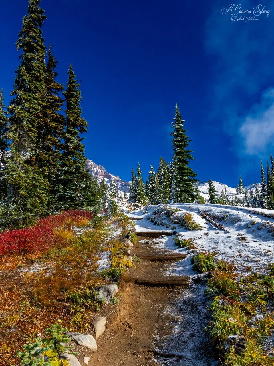 From Fall to Winter-1.jpg