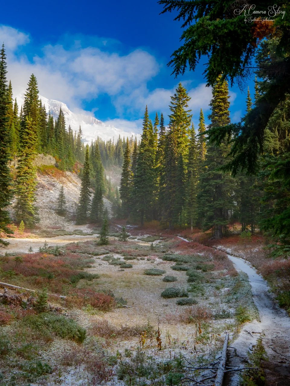 From Fall to Winter-2.jpg