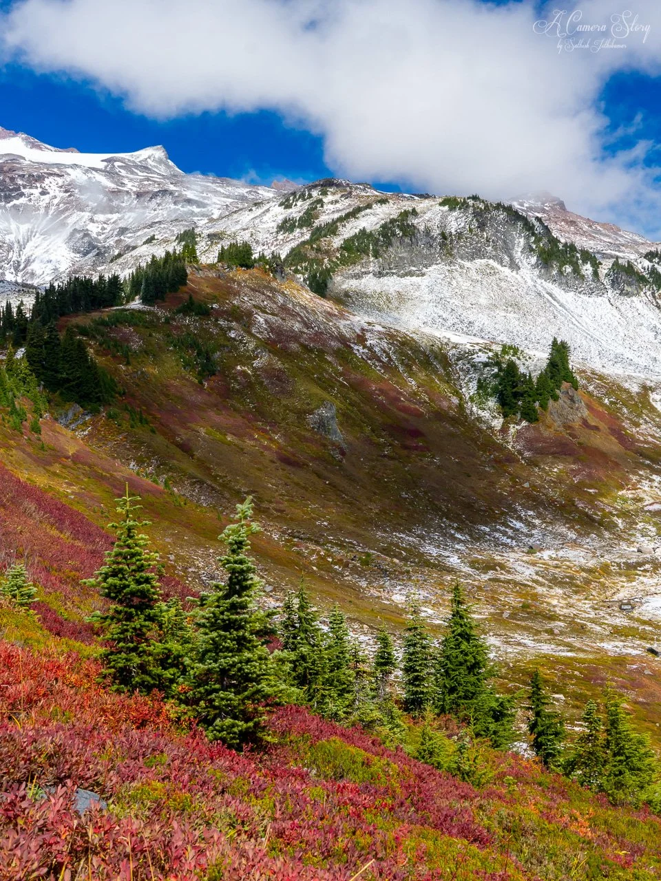 From Fall to Winter-3.jpg