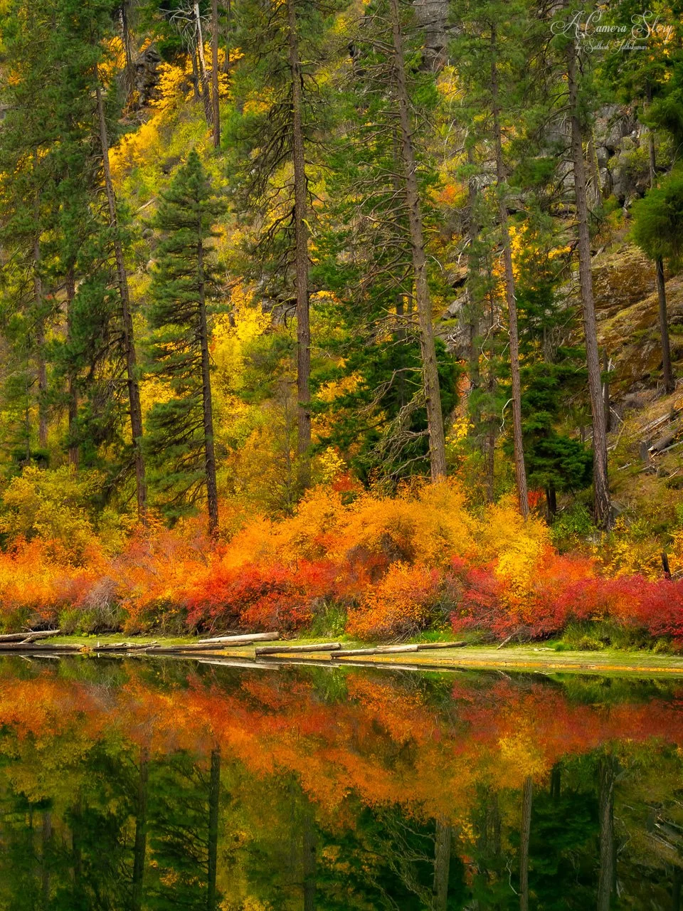 Fall bonanza-5.jpg