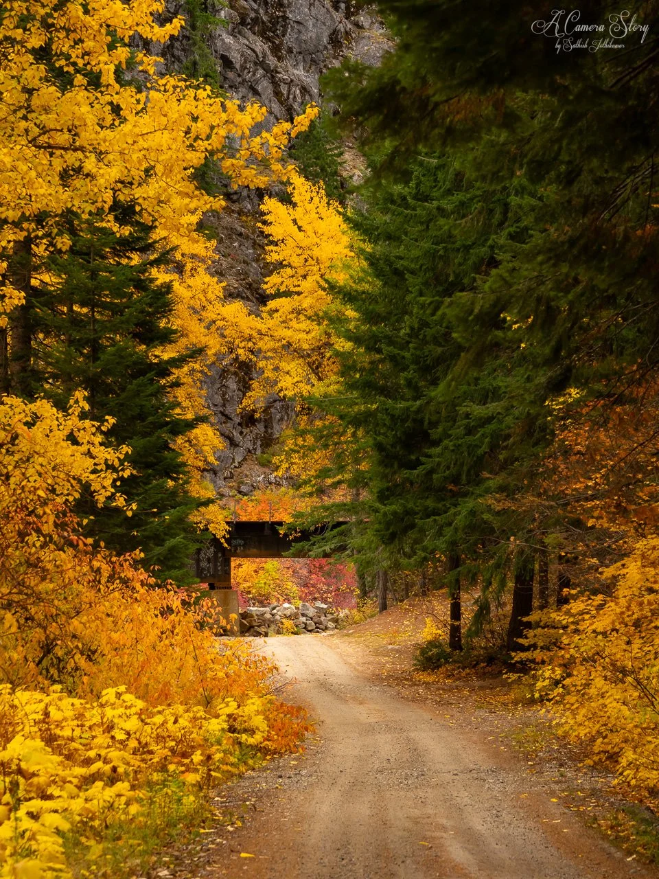 Fall bonanza-2.jpg
