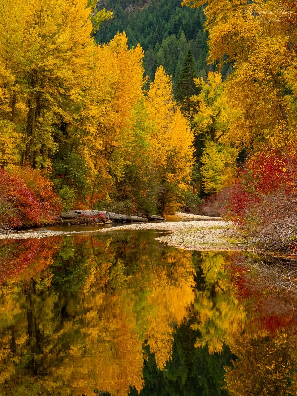 Fall bonanza-3.jpg