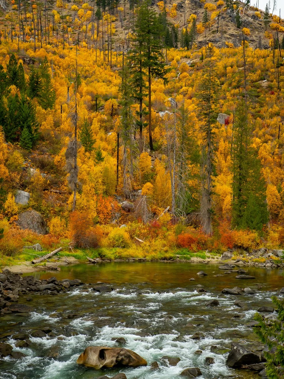Fall bonanza-4.jpg