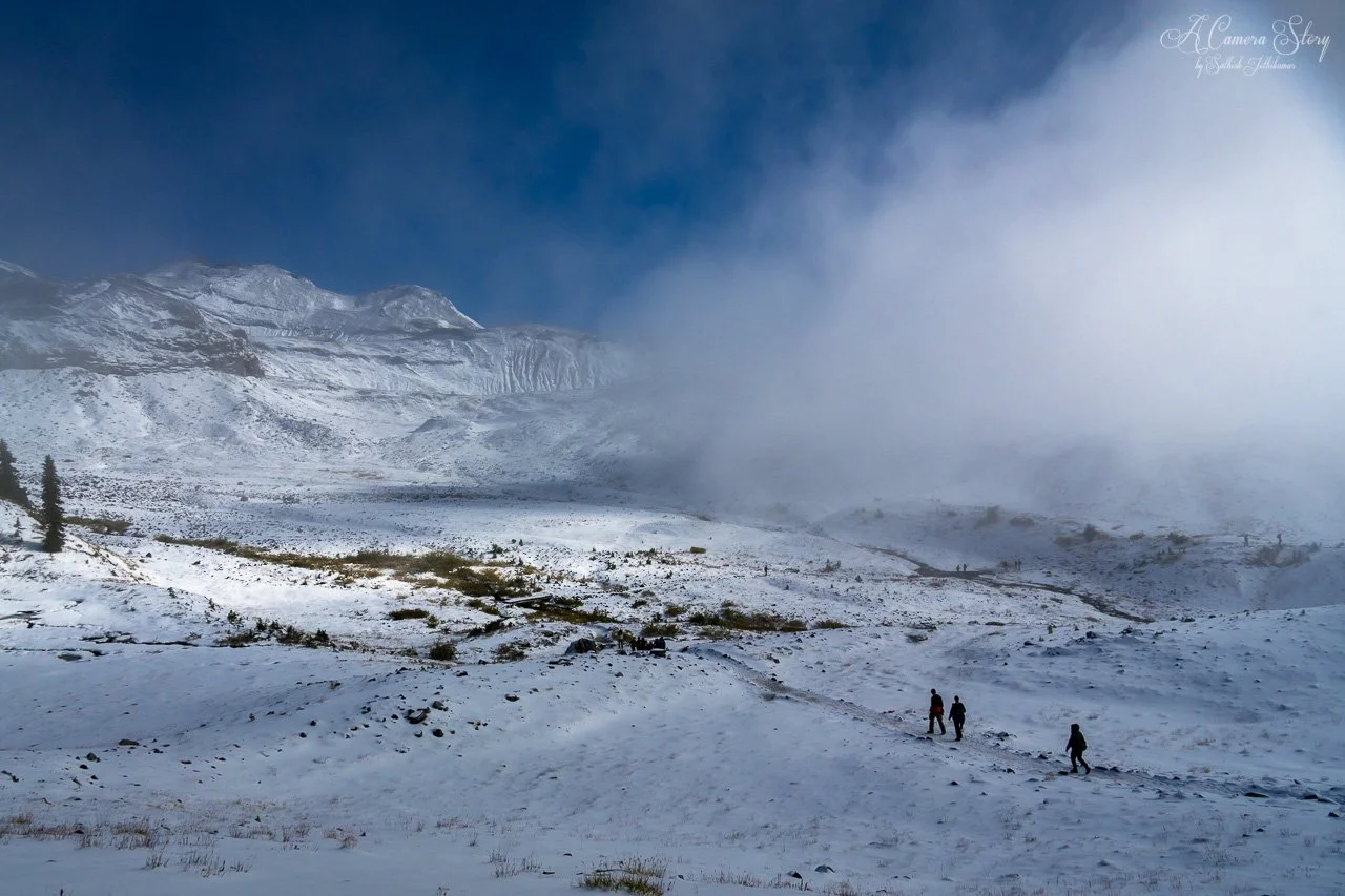 The change of seasons-3.jpg