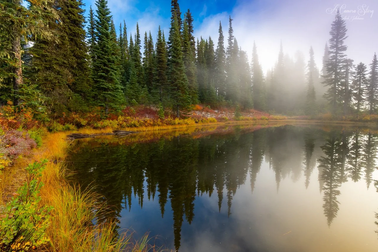 The change of seasons-4.jpg