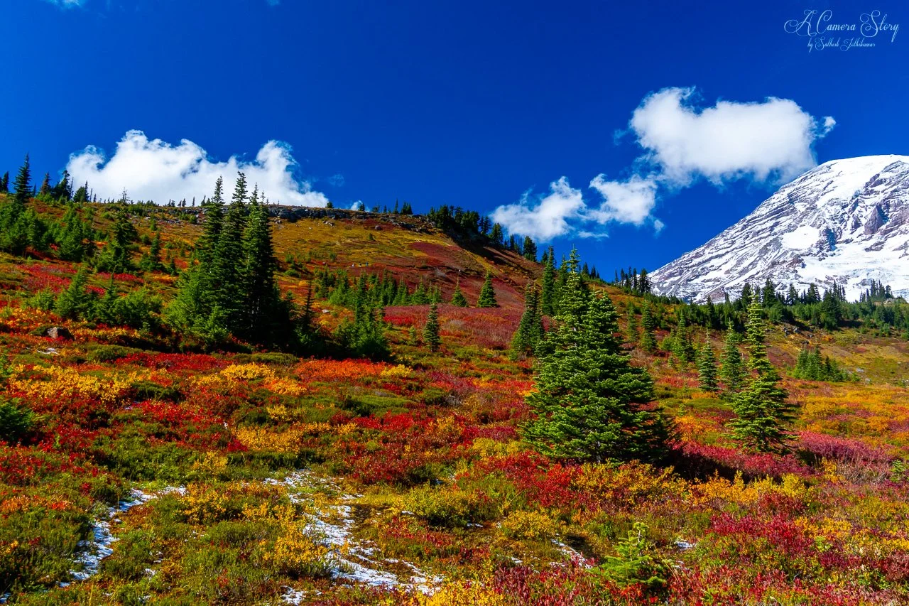 The change of seasons-1.jpg