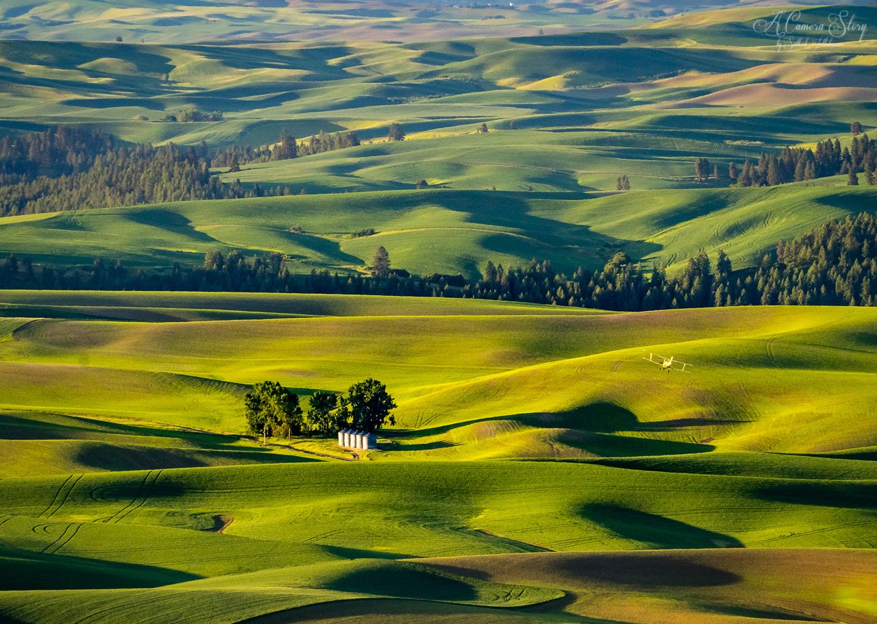 Rolling Greens of Palouse — A Camera Story