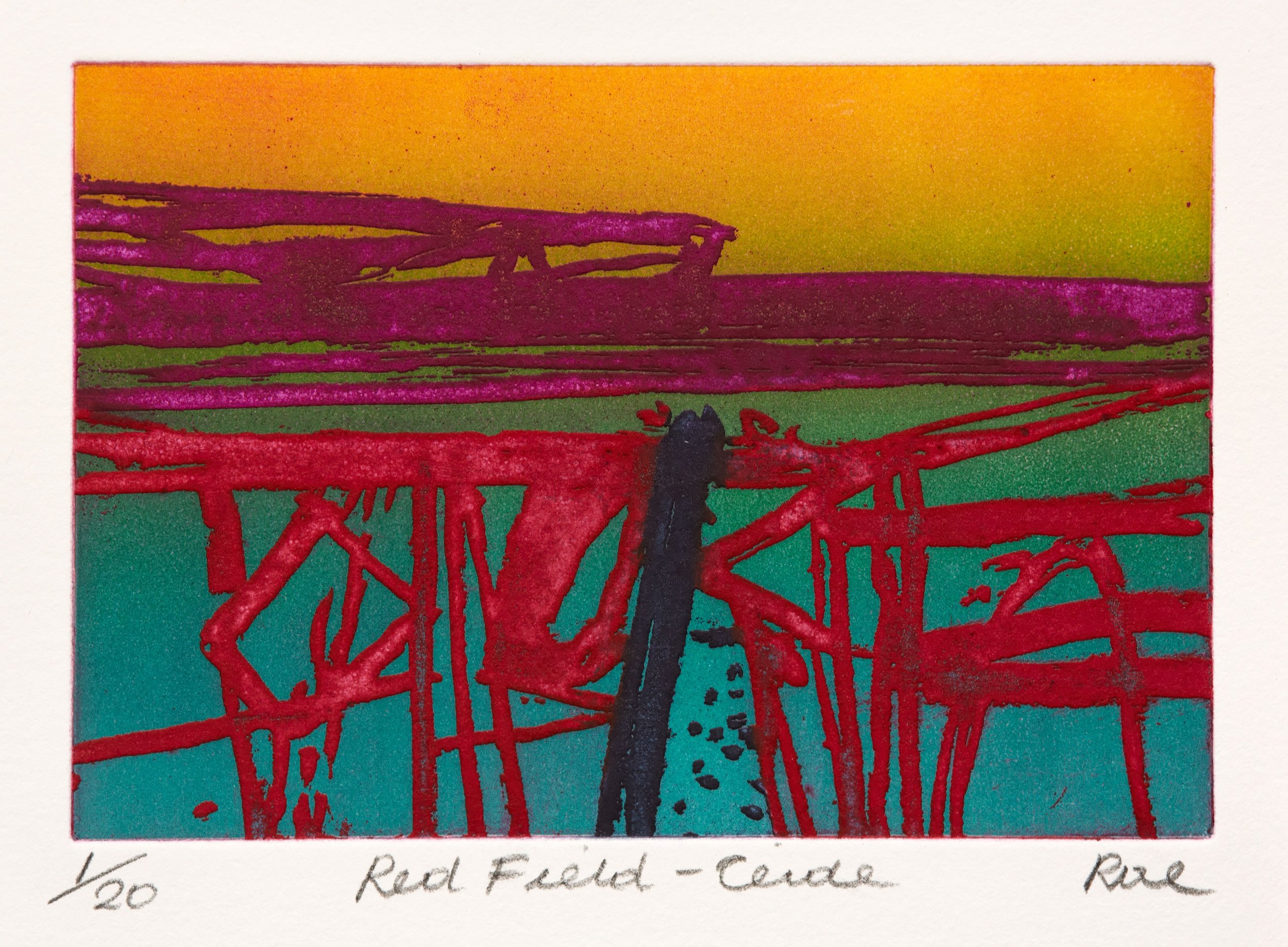 Barbara Rae - Red Field, Ceide 