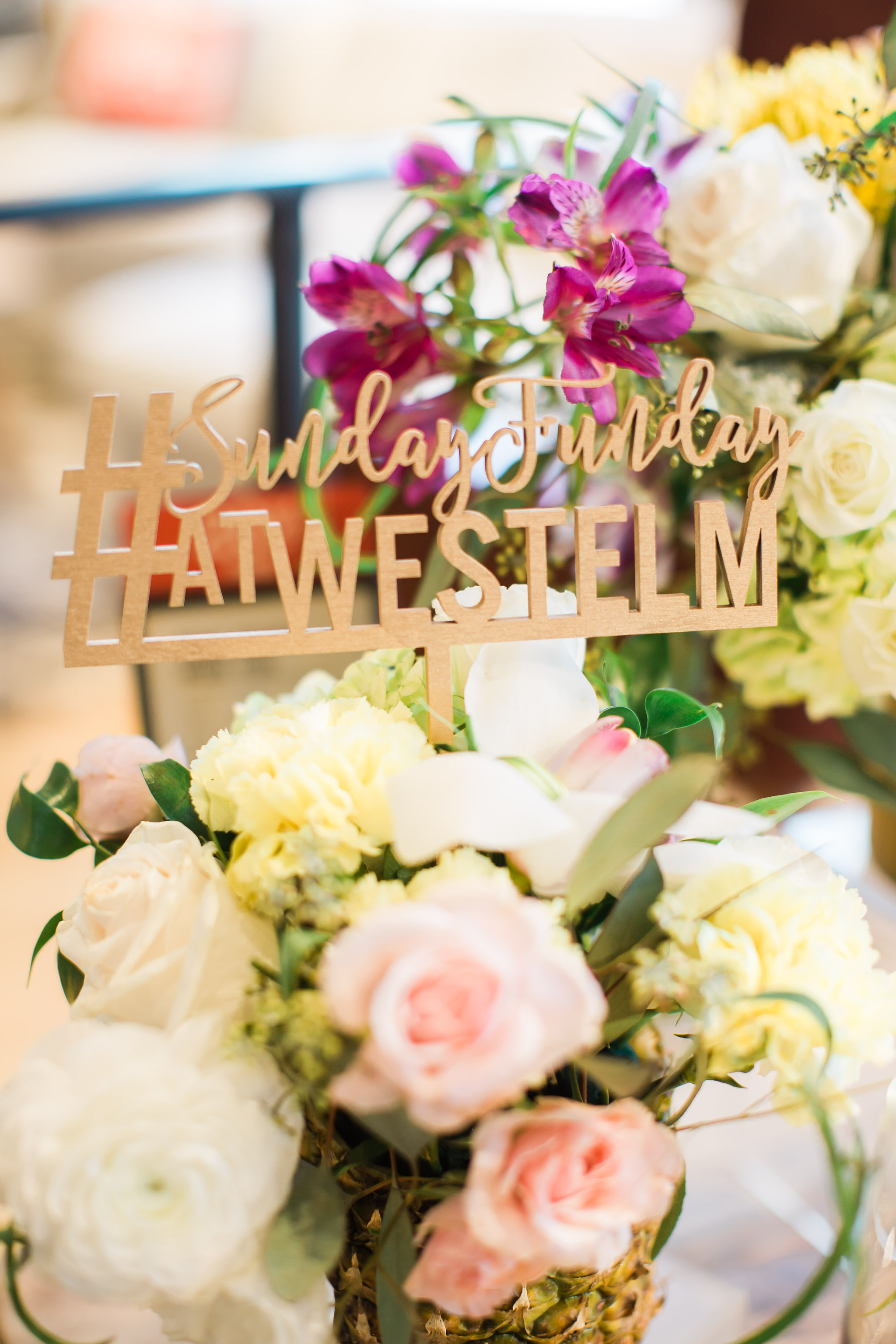  skyboxeventproductions.com | An Event at West Elm | Skybox Event Productions | Southern California Private Event Design and Planning | Erin J.&nbsp;Saldana Photography | Pop Up Shop 