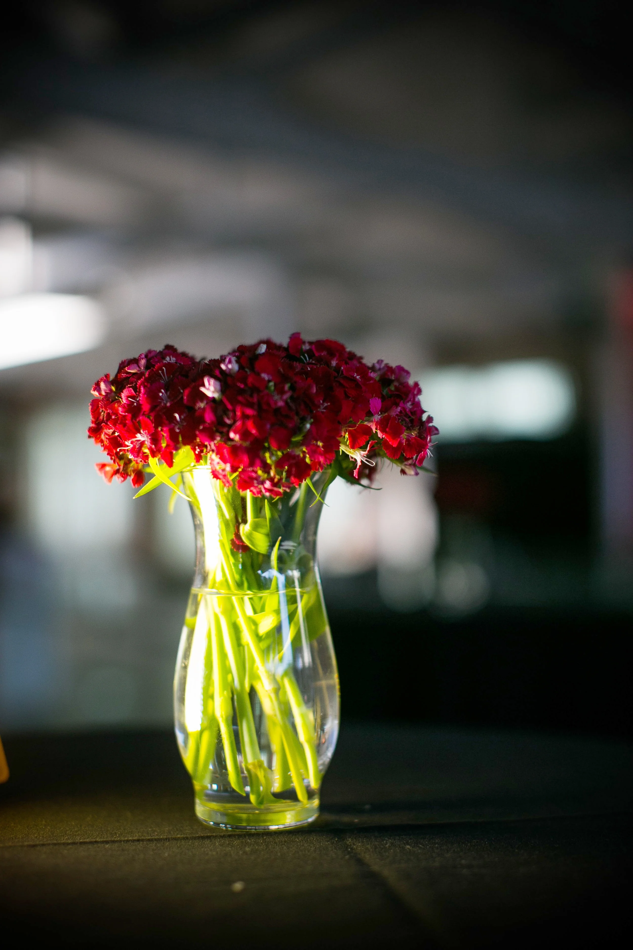  skyboxeventproductions.com | Pandora on Green | Skybox Event Productions | Southern California Private Event Design and Planning | Film Foto Fusion | Screening Party 