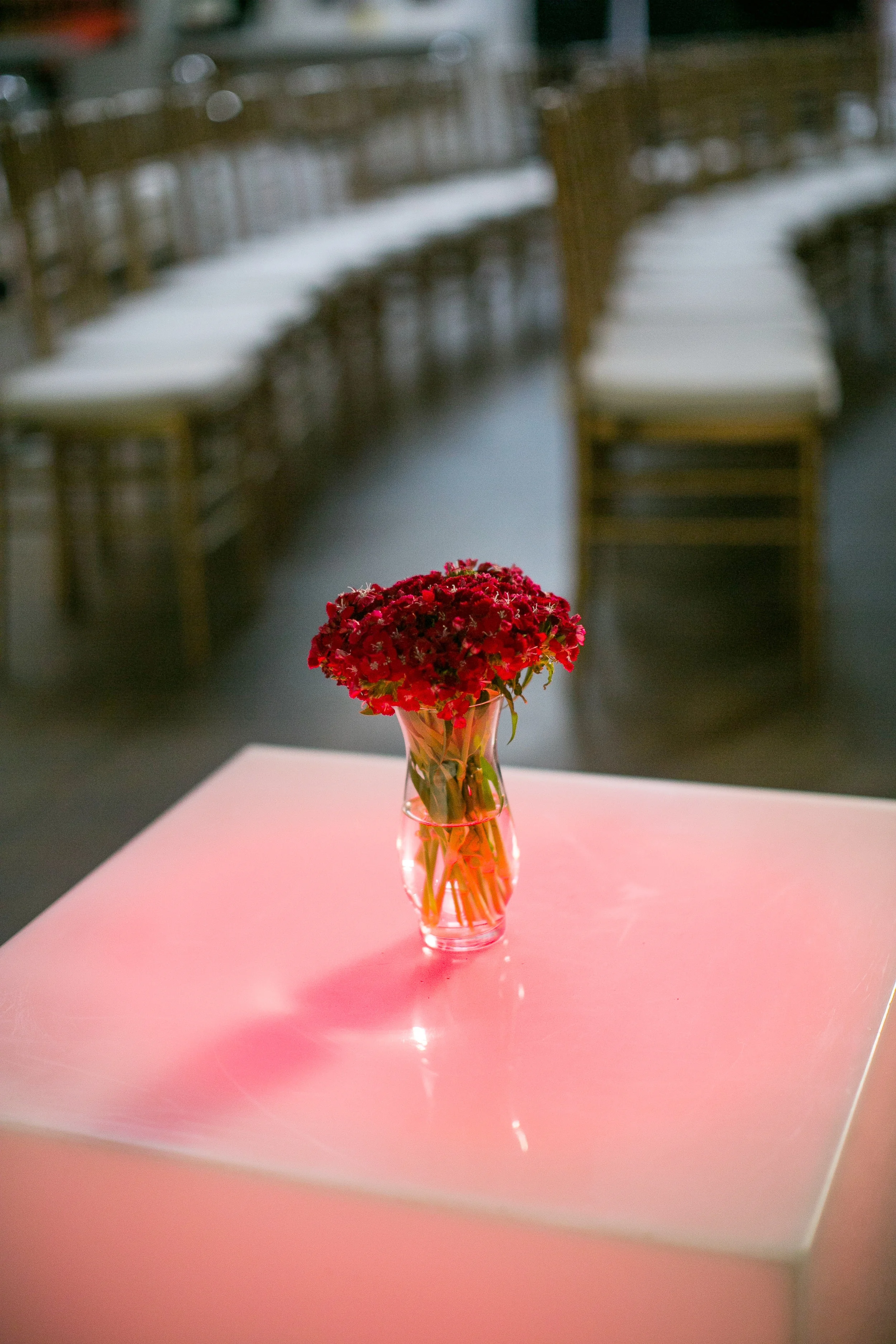  skyboxeventproductions.com | Pandora on Green | Skybox Event Productions | Southern California Private Event Design and Planning | Film Foto Fusion | Screening Party 