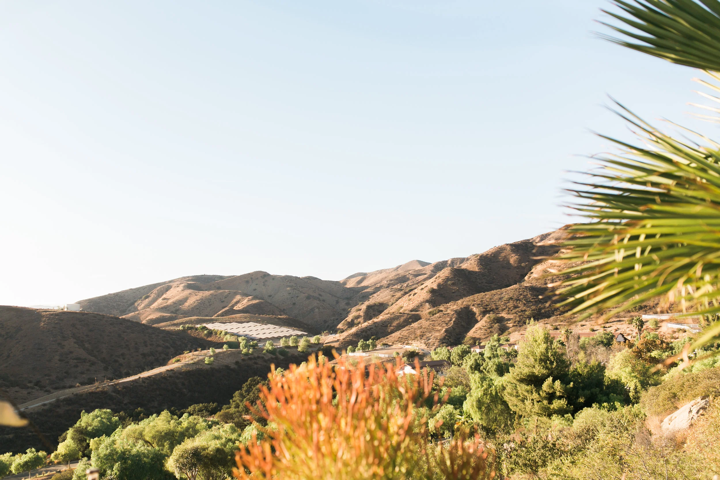  skyboxeventproductions.com | Hummingbird Nest Ranch Wedding | Southern California Wedding Planner and Designer | Skybox Event Productions | Nicole Chow Photography 