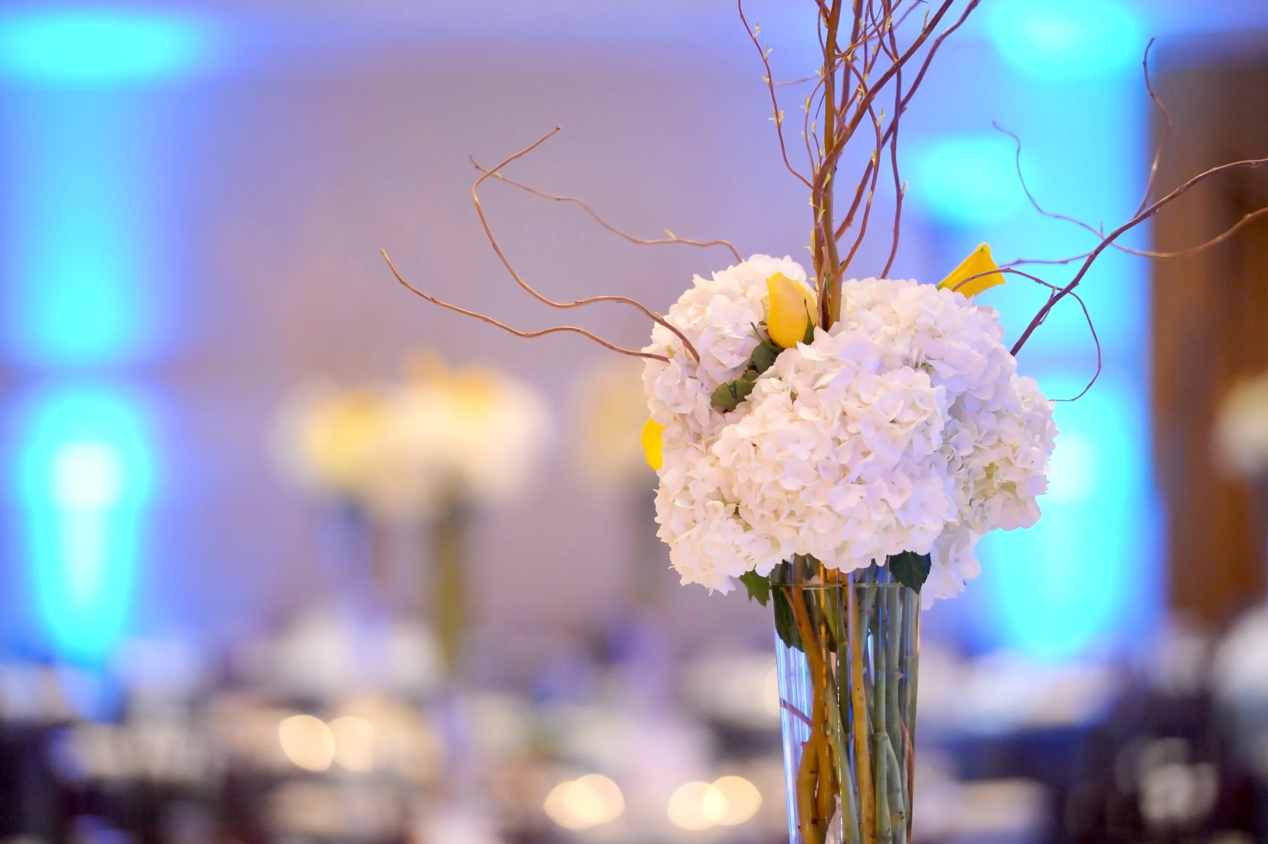 skyboxeventproductions.com | Orange County Weddings | Southern California Wedding Planner and Designer | Skybox Event Productions | Hoffmann Photography | Wedding at the Hilton 