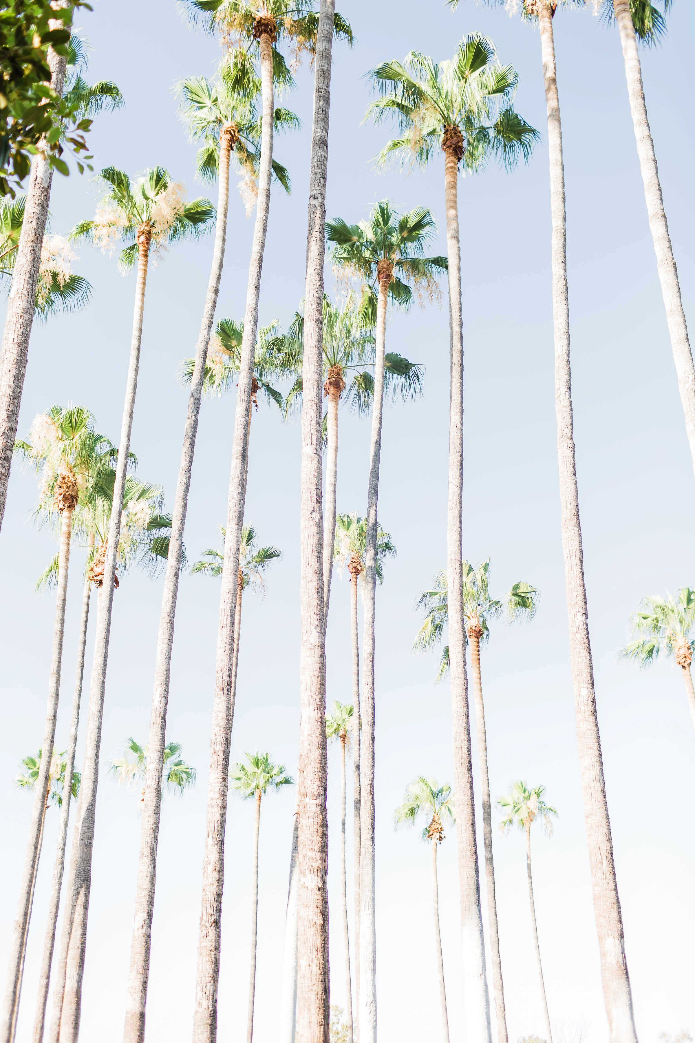  skyboxeventproductions.com | Skybox Event Productions | Pakistani Weddings | Los Angeles Wedding Planner and Designer | Skybox Event Productions | Photos by Simply Adri Photography | Engagement Party 